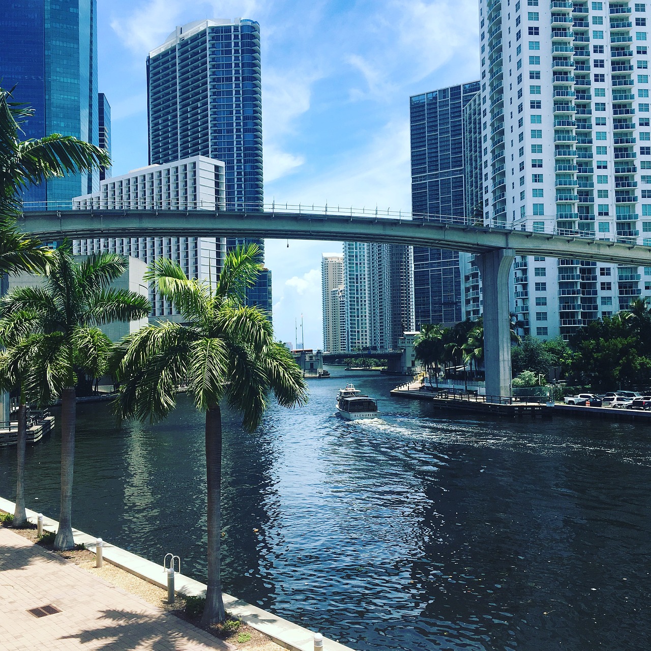 Miami, Upė, Gražus Vaizdas, Dangoraižis, Panorama, Palmės, Valtis, Miestas, Miesto, Architektūra