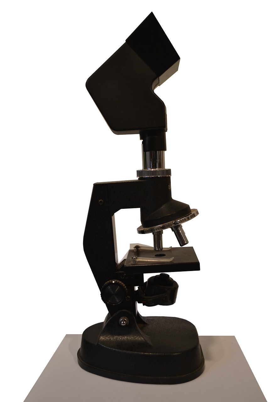 Mikroskopas, Objektyvas, Padidinti, Regėjimas, Mokslas, Mokslininkas, Studentai, Pamoka, Mokykla, Bakterijos