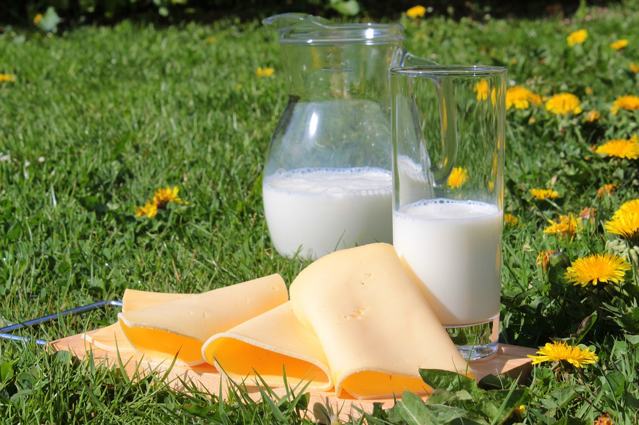Pienas, Sūris, Sūrio Skiltelės, Pieno Produktai, Maistas, Sveikas, Vitaminai, Kalcio, Gerti, Naudos Iš
