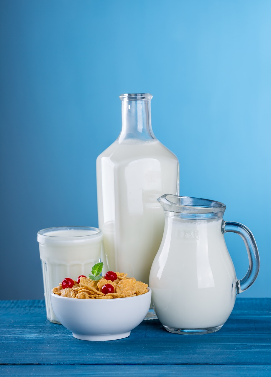 Pienas, Pieno Produktai, Ąsotis, Butelis, Kaimiškas, Naudinga, Balta, Sveika Mityba, Maistinių Medžiagų, Maistas