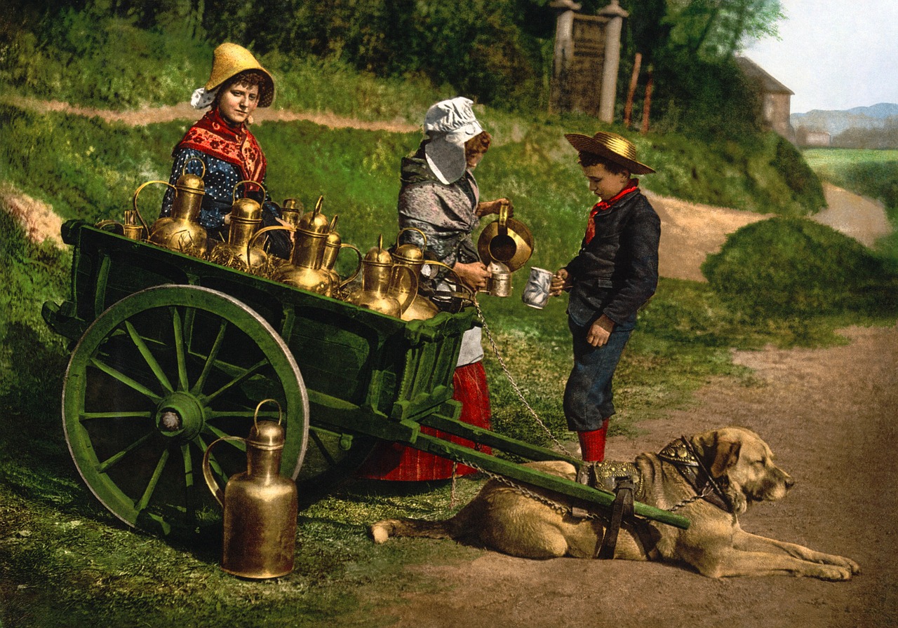 Pienas, Krepšelis, Fotochromas, 1890, Šuo, Medžiotojas, Nemokamos Nuotraukos,  Nemokama Licenzija