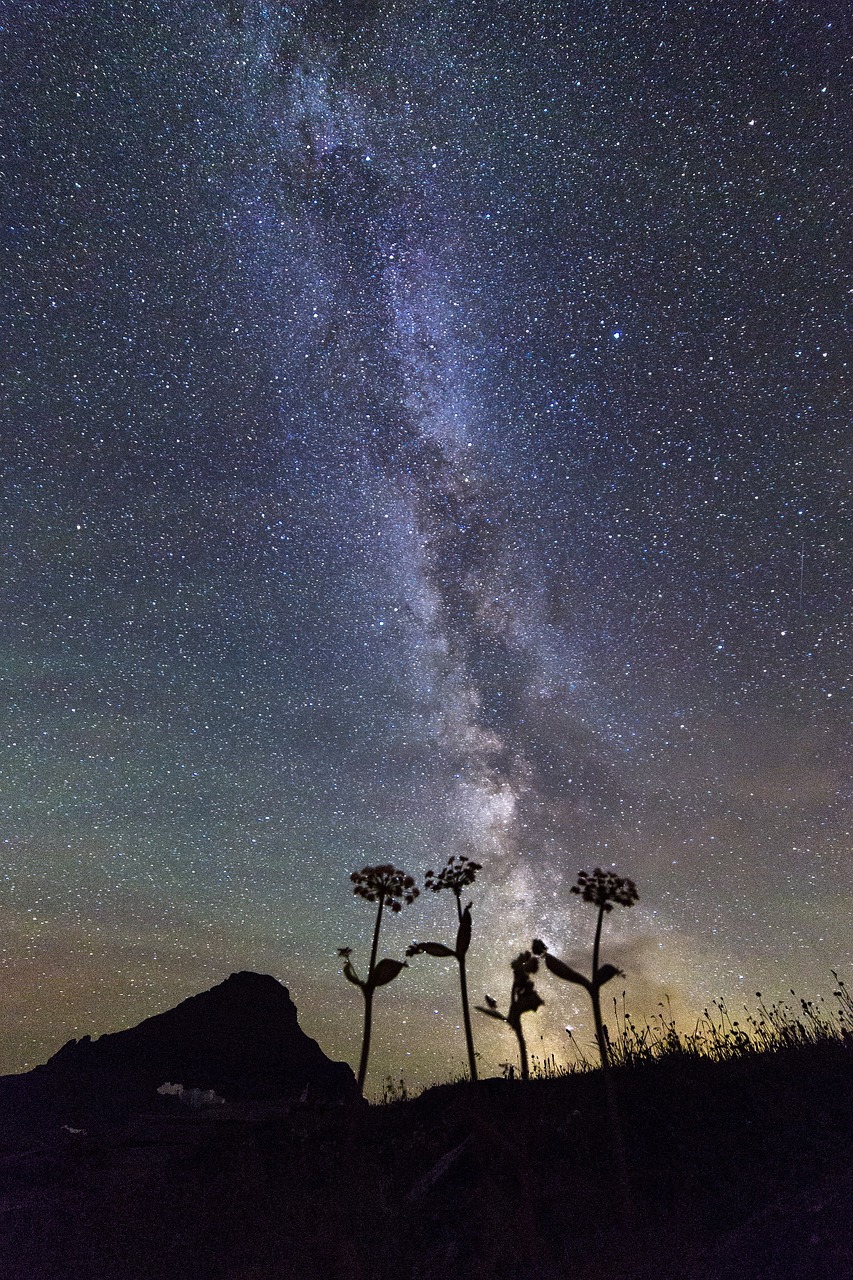 Paukščių Takas, Žvaigždės, Naktinis Dangus, Tamsi, Kosmosas, Gamta, Lauke, Ledynas Nacionalinis Parkas, Montana, Usa