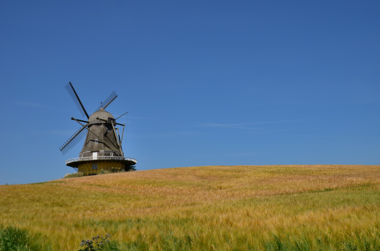 Malūnas, Denmark, Vasaros Atostogos, Vėjo Malūnas, Vėjas, Grįžo Į Galvą, Vasara, Saulė, Mėlynas Dangus, Nemokamos Nuotraukos