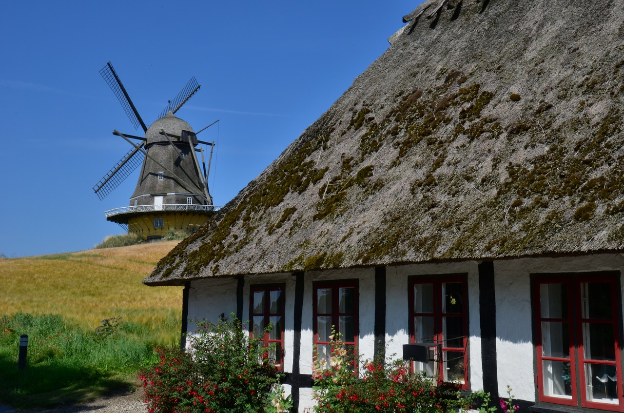 Malūnas, Denmark, Vasaros Atostogos, Vėjo Malūnas, Vėjas, Grįžo Į Galvą, Vasara, Saulė, Mėlynas Dangus, Šiaudinis Stogas