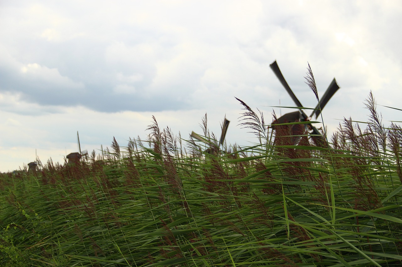 Malūnas, Kinderdijk, Žolė, Nyderlandai, Nemokamos Nuotraukos,  Nemokama Licenzija