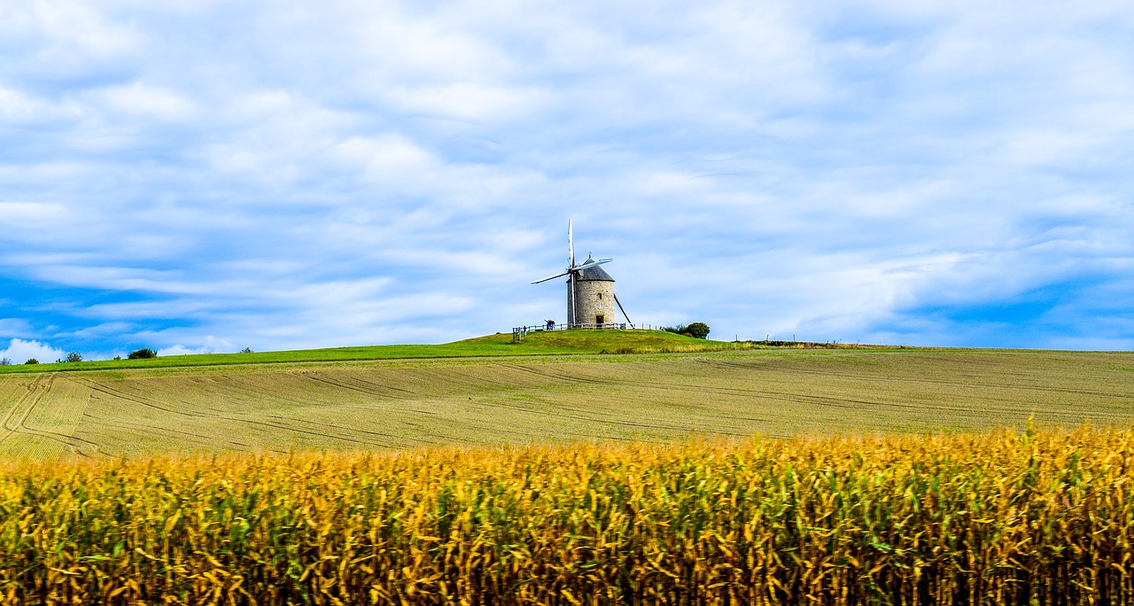 Malūnas, Mont Saint Michel, Moliuskai, Kraštovaizdis, Laukas, Derlius, Žolė, Žalia Prairija, Debesuota Dangaus, Nemokamos Nuotraukos