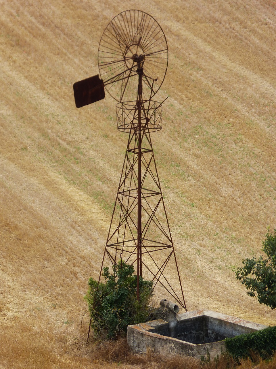 Malūnas,  Niva,  Srityje Grūdų,  Metai,  Atsisakyta,  Windmill,  Aprūdijęs, Nemokamos Nuotraukos,  Nemokama Licenzija