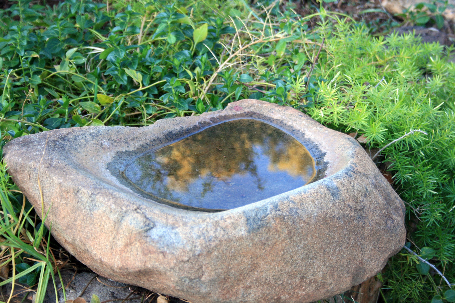 Akmuo,  Malūnas,  Šlifavimas,  Tuščiaviduris,  Vanduo,  Vonia,  Augalai,  Girnaklis Birdbath Sodas, Nemokamos Nuotraukos,  Nemokama Licenzija