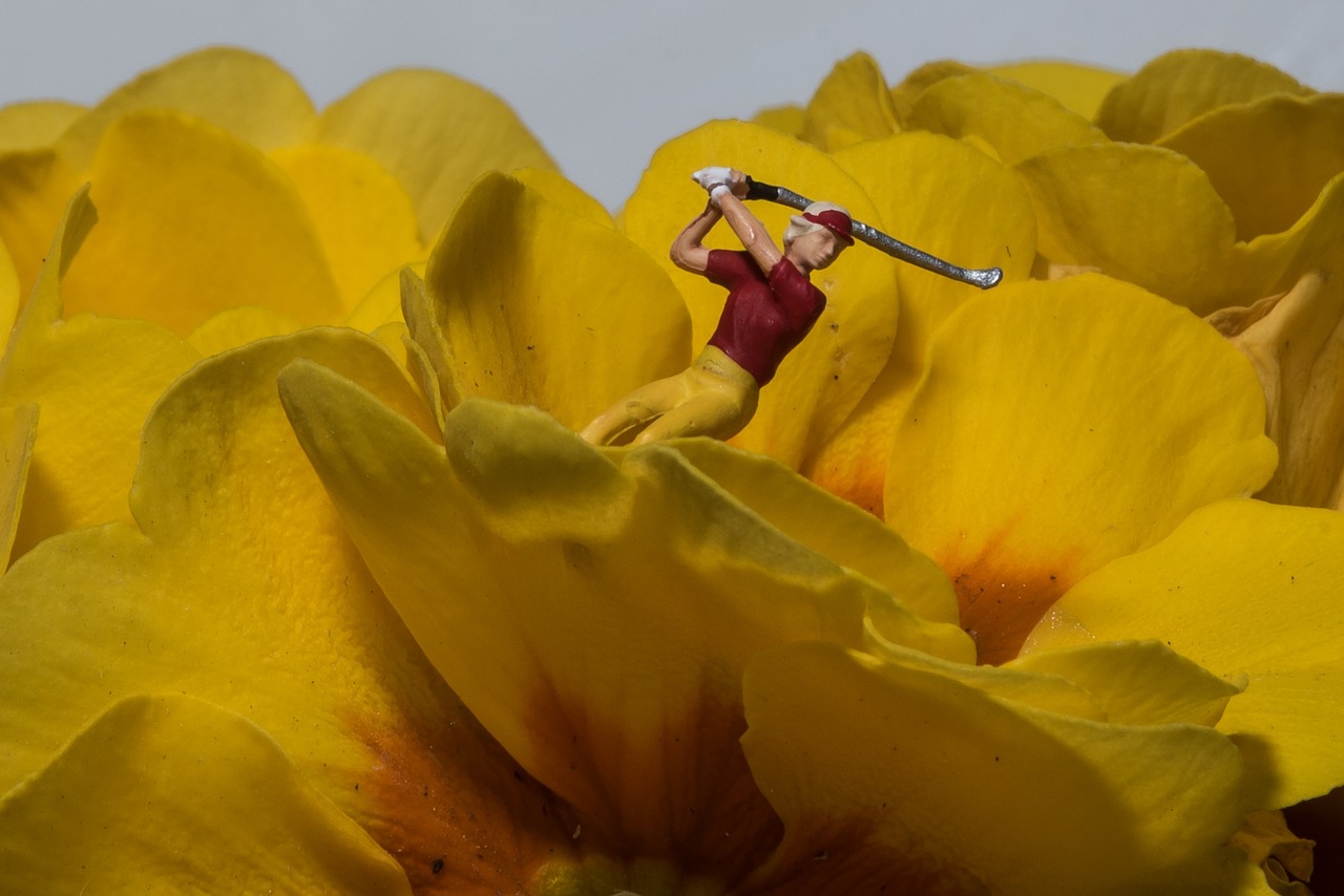 Miniatiūrinė, Fotografija, Golfas, Gėlės, Makro, Uždaryti, Figūra, Makrofotografija, Liliputas, Vyras