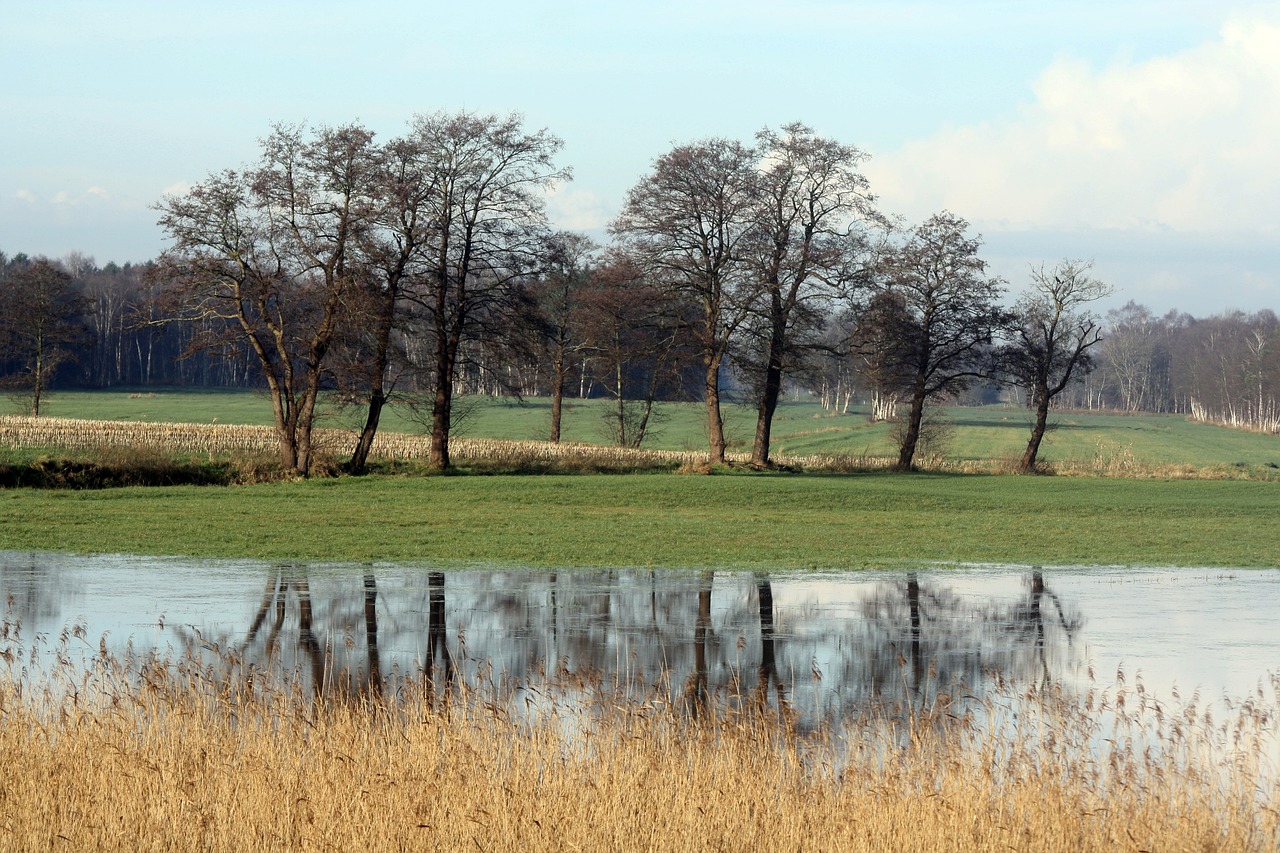 Veidrodis, Auen, Giraitė, Moorland, Elbe - Weser - Trikampis, Bremervörde, Vörder Ežeras, Žemutinė Saksonija, Oste, Pelkės