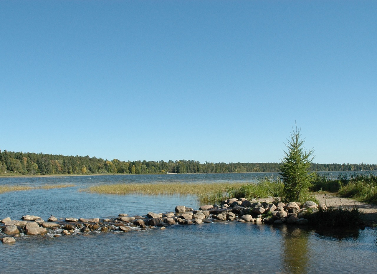 Misisipė, Galvos Upės, Ežeras, Minnesota, Itasca, Nemokamos Nuotraukos,  Nemokama Licenzija