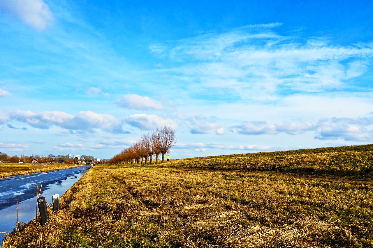 Moat, Vandens Kelias, Bankas, Dike, Apvaisinti, Gluosnis, Medis, Panorama, Horizontas, Perspektyva