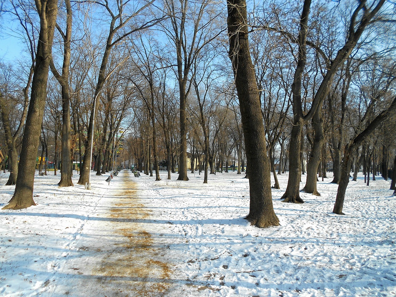 Moldova, Parkas, Žiema, Sniegas, Vaizdingas, Kraštovaizdis, Kelias, Juostos, Takas, Gamta