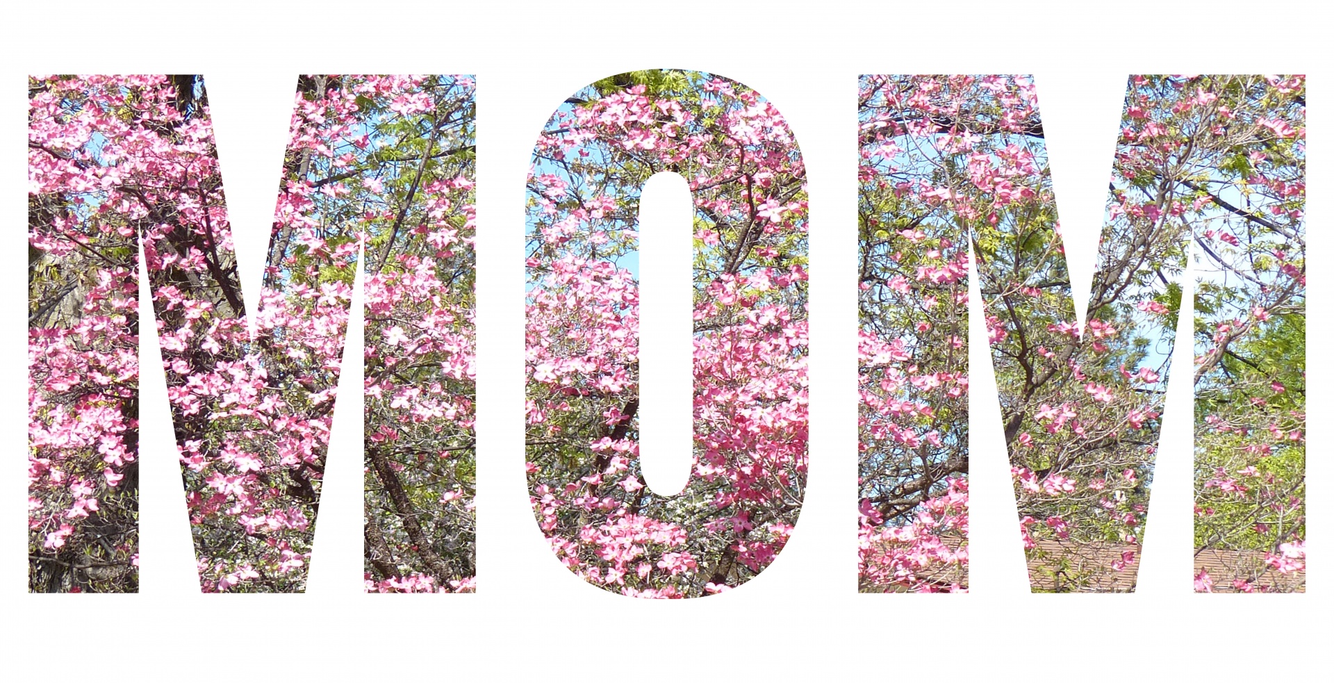 Mama,  Sluoksniuota,  Gėlės,  Motinos Dienos & Nbsp,  Gimtadienis,  Pasveikinimas,  Diy,  Kortelė,  Motina,  Mama