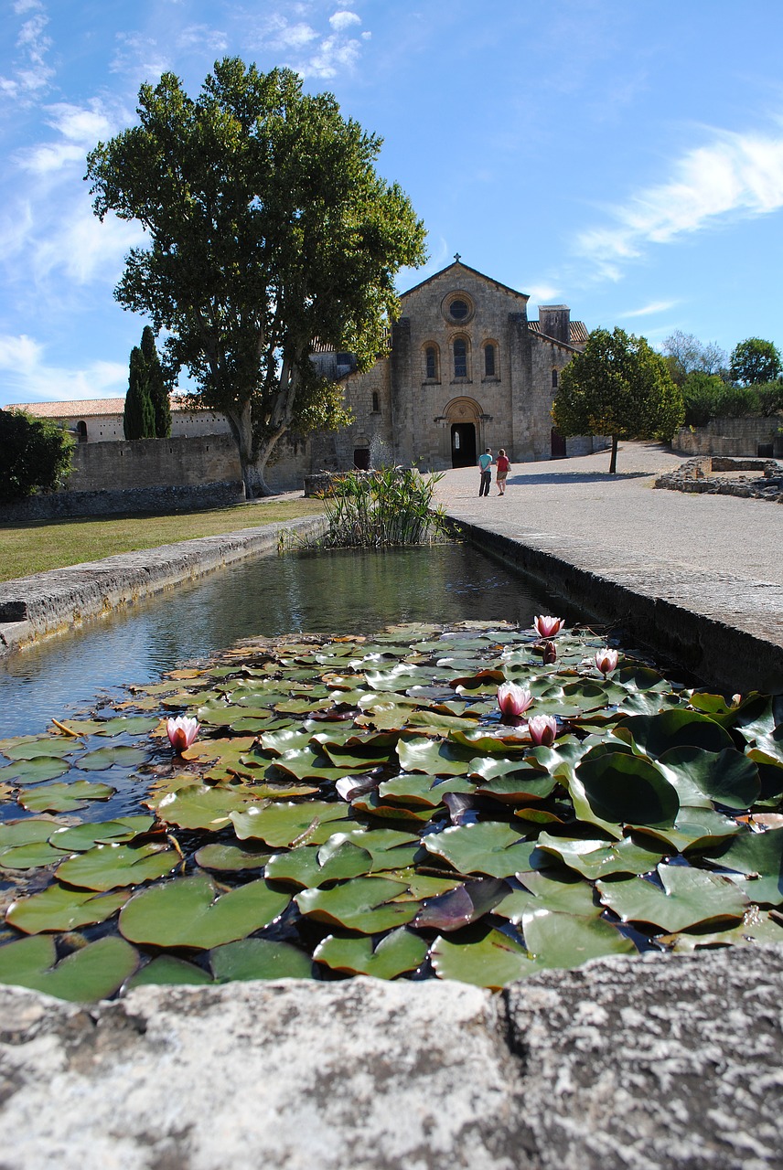 Vienuolynas, Abatija, Silvacane, France, Romanesque, Bažnyčia, Vandens Lelijos, Romaniškoji Bažnyčia, Nemokamos Nuotraukos,  Nemokama Licenzija