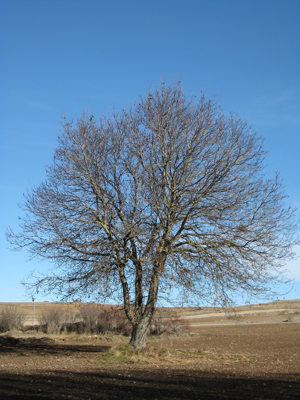 Moncayo, Augustobriga, Arekorata, Pilis, Siena, Nemokamos Nuotraukos,  Nemokama Licenzija