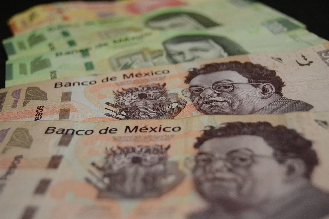 Pinigai, Ekonomika, Pinigai, Bilietas, Turtas, Meksikietis, Meksikiečių Pesas, Svoris, Valiuta, Finansai