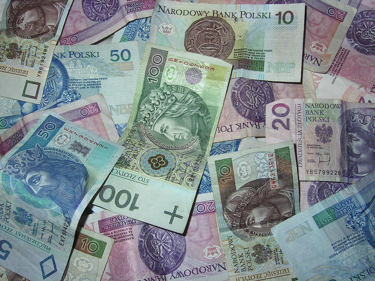 Pinigai, Lenkų Banknotai, Buck, Valiuta, Taupymas, Saugus, Sutaupyti, Šimtas Dolerių, Pln, Lenkas
