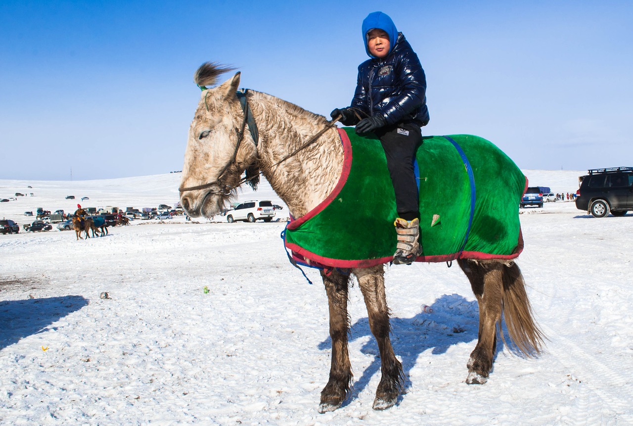 Mongolija, Žiema, Vaikas, Berniukas, Arklys, Šaltas, Jodinėjimas, Balta, Lauke, Nemokamos Nuotraukos