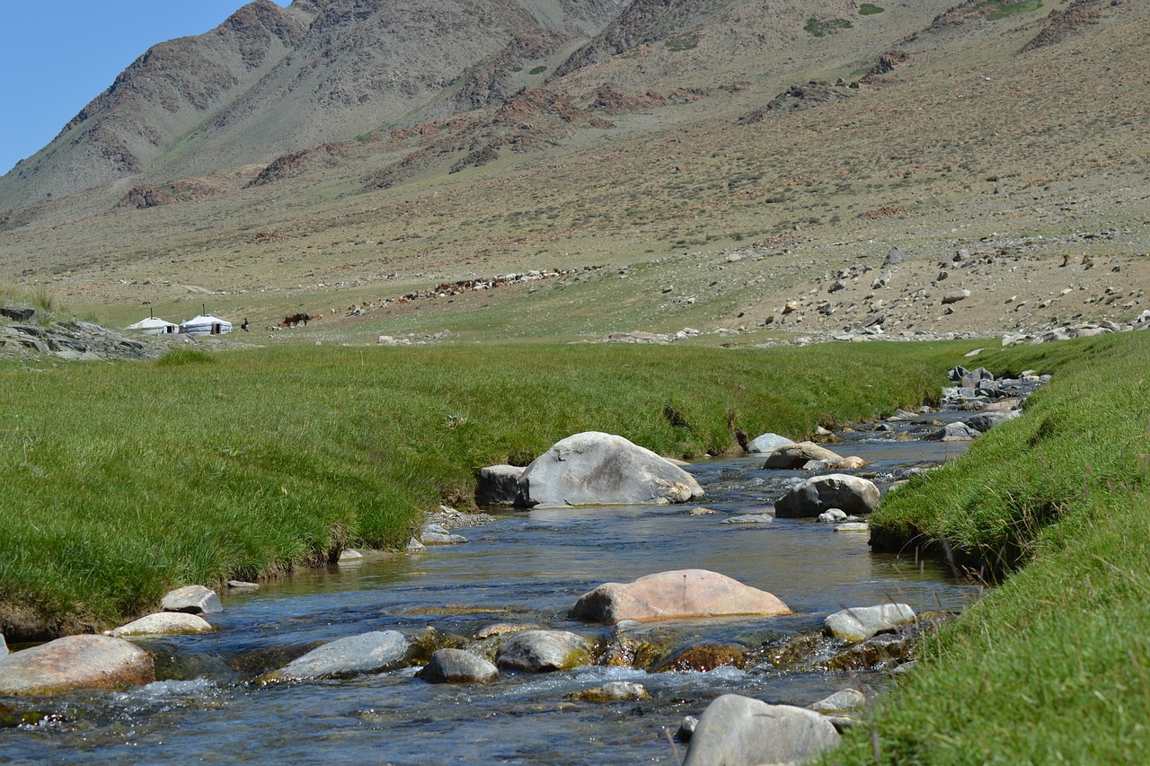 Mongolija, Stepė, Yurt, Torrent, Nemokamos Nuotraukos,  Nemokama Licenzija