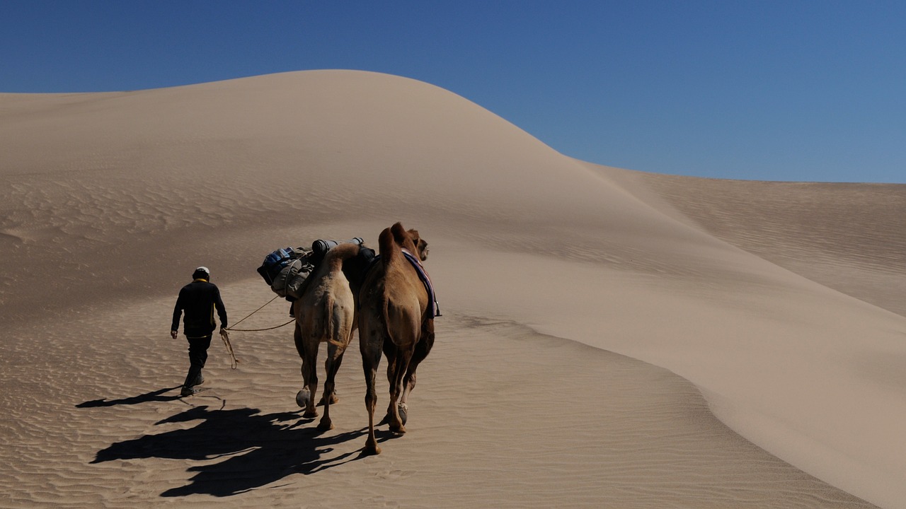 Mongolija, Nomadas, Kopos, Dykuma, Smėlis, Nemokamos Nuotraukos,  Nemokama Licenzija