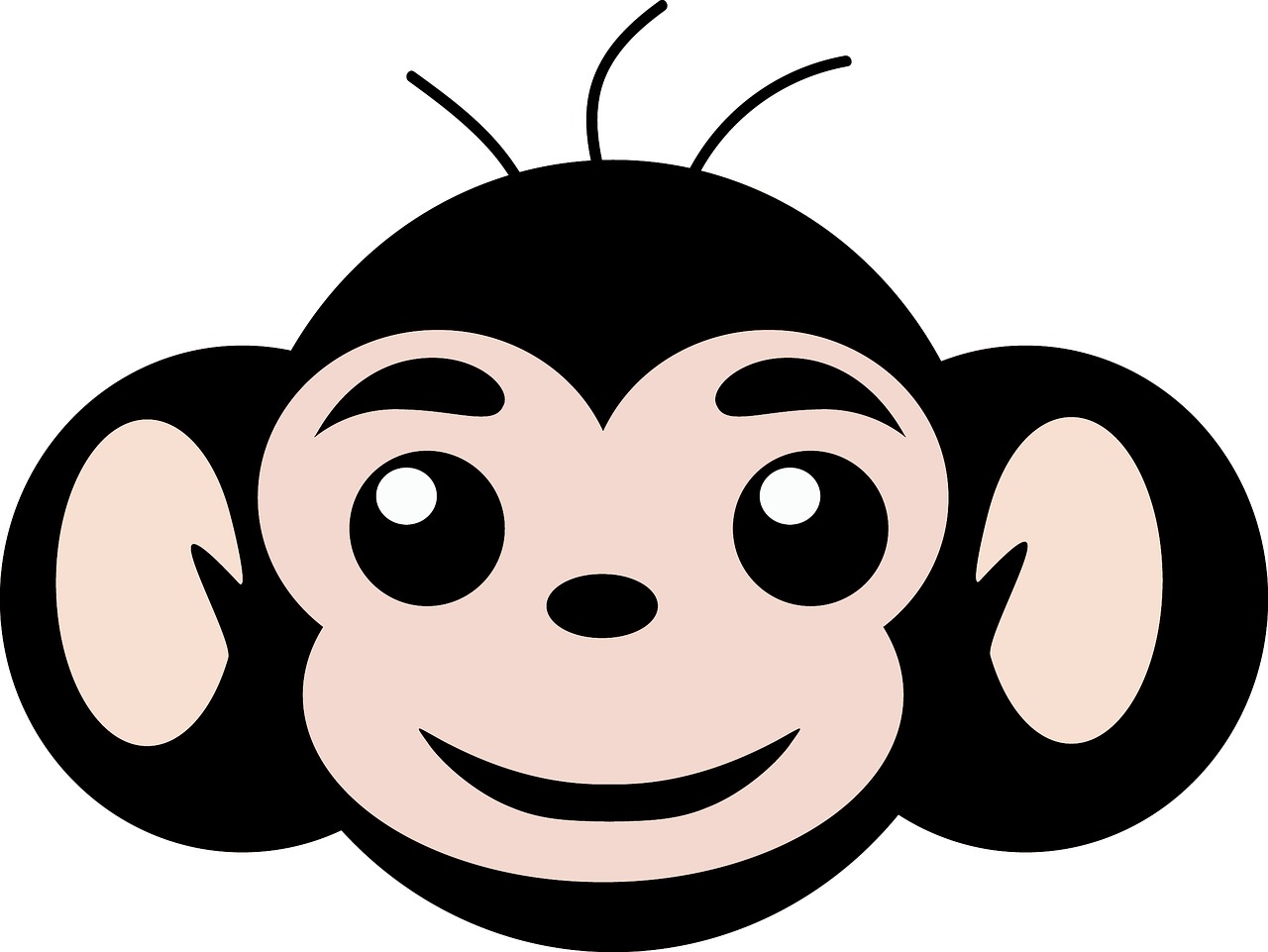 Beždžionė, Paprasta Beždžionė, Beždžionė, Nemokamos Nuotraukos,  Nemokama Licenzija