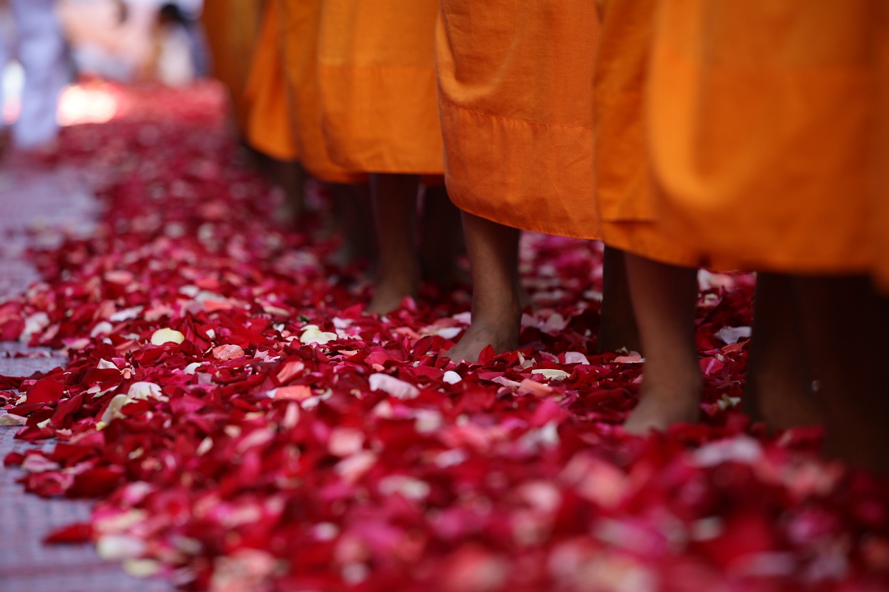 Vienuoliai, Budistams, Vaikščioti, Rožių Žiedlapiai, Pėdos, Drabužiai, Oranžinė, Tailandas, Asija, Wat