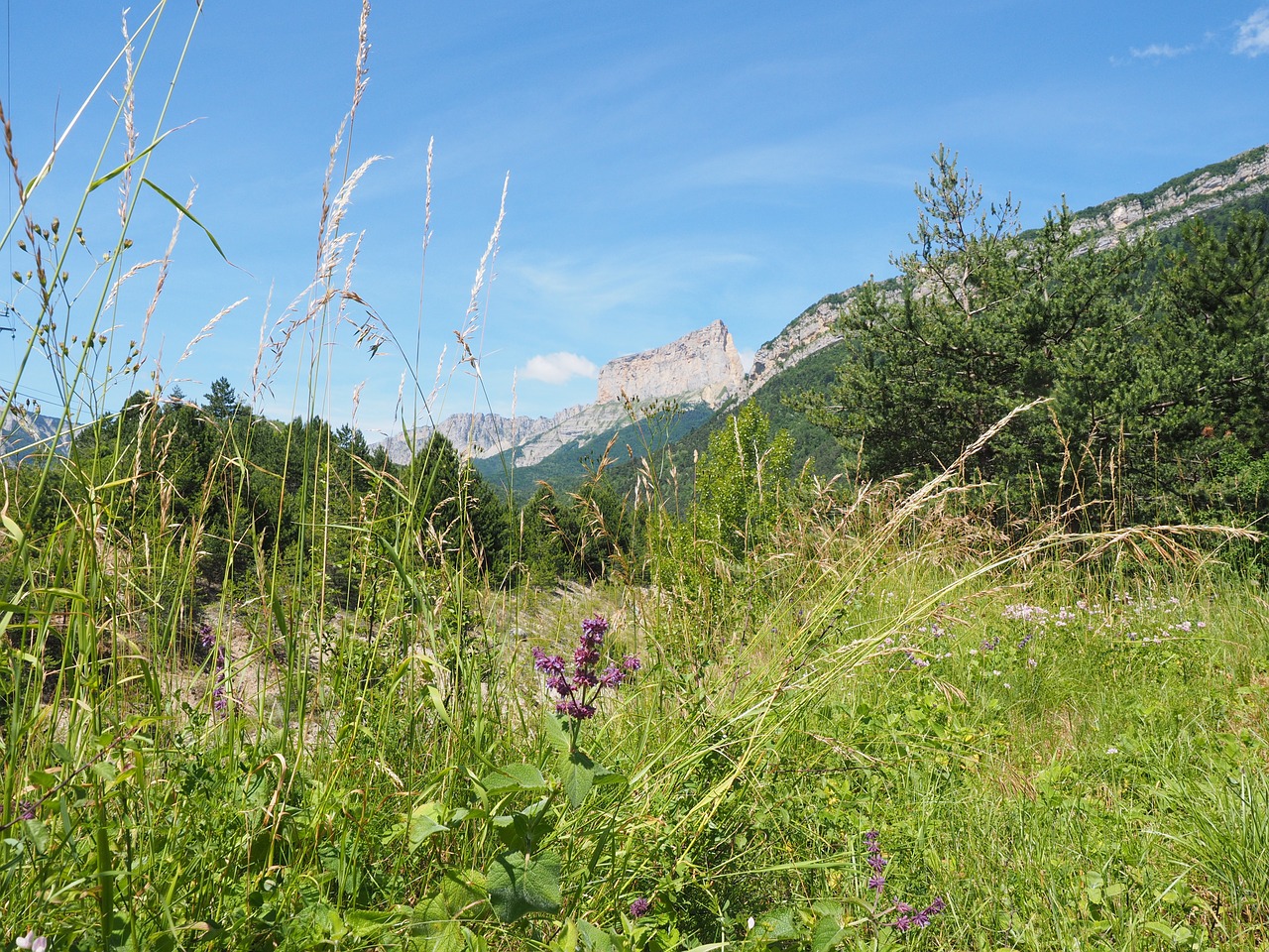 Adatos Tvirtinimas, Kalnų, Masinis, Vercors, Kalnų Slėnis, Dauphiné-Alpės, Westalpen, Prancūzija, Mėsa-Kaip, Stalo Kalnas