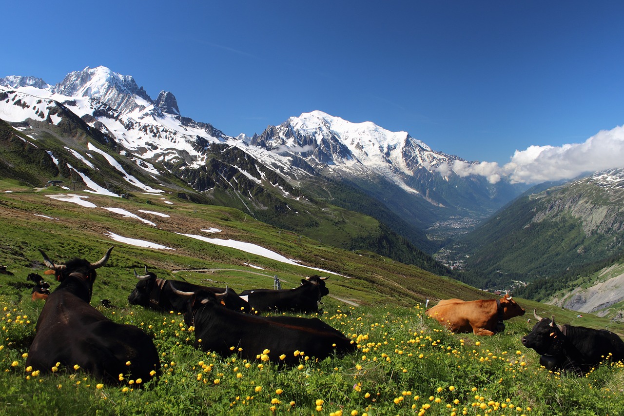 Mont Blanc, Kelionė Mont Blanc, Alpės, Migracija, Pasivaikščiojimas, Kalnas, Kraštovaizdis, Natūralus, Nemokamos Nuotraukos,  Nemokama Licenzija