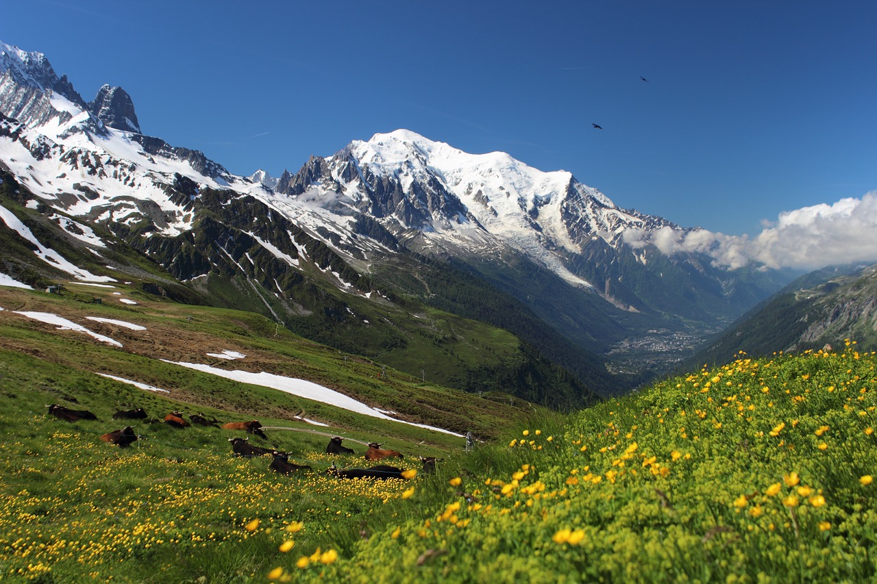 Mont Blanc, Kelionė Mont Blanc, Alpės, Migracija, Pasivaikščiojimas, Kalnas, Kraštovaizdis, Natūralus, Nemokamos Nuotraukos,  Nemokama Licenzija