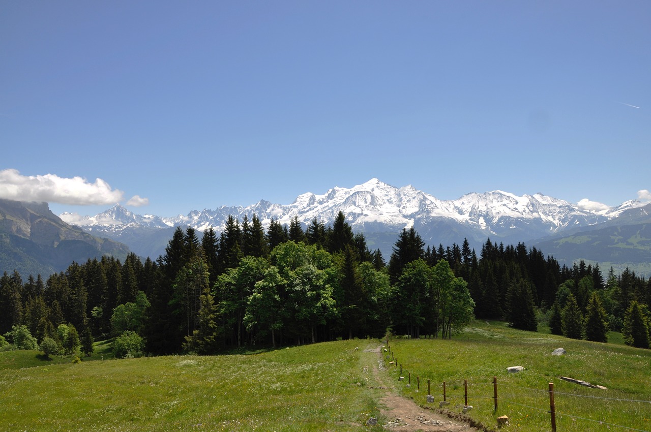Mont Blanc Massif, Mont Blanc, Haute-Savoie, Nemokamos Nuotraukos,  Nemokama Licenzija