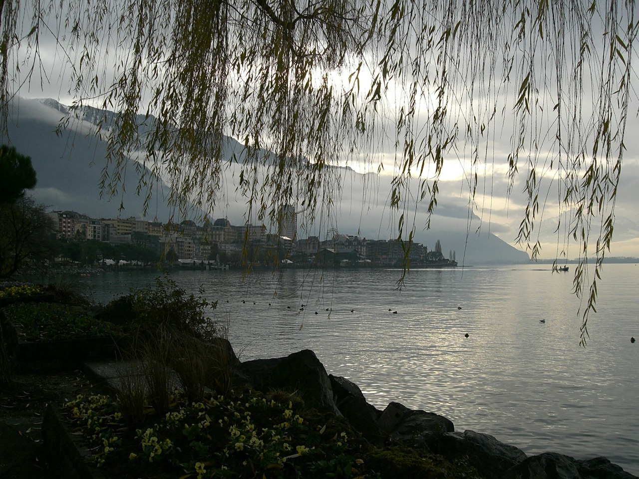 Montreaux, Ežero Geneva, Ežeras Lemanas, Šveicarija, Nemokamos Nuotraukos,  Nemokama Licenzija