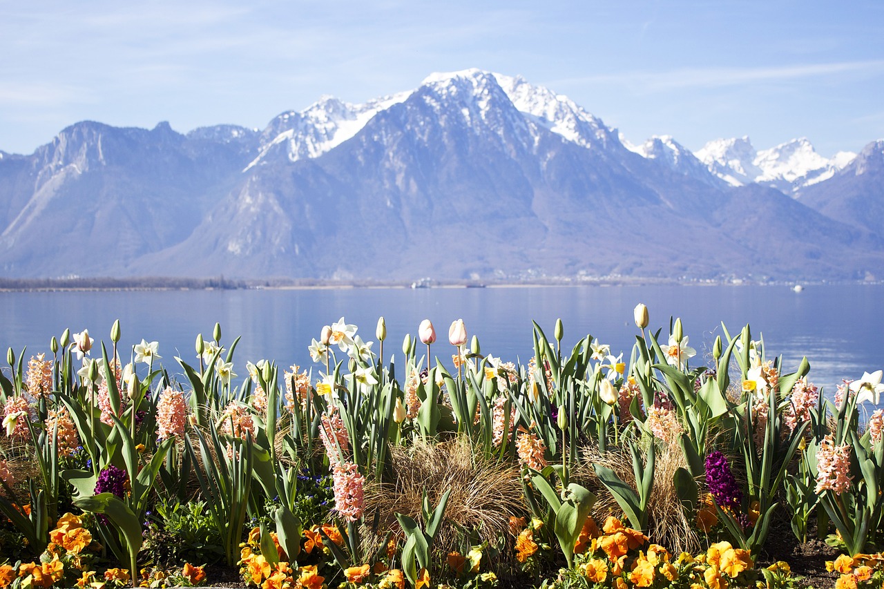 Montreux, Ežeras, Šveicarija, Europa, Swiss, Vanduo, Kalnas, Vaizdas, Leman, Gėlė