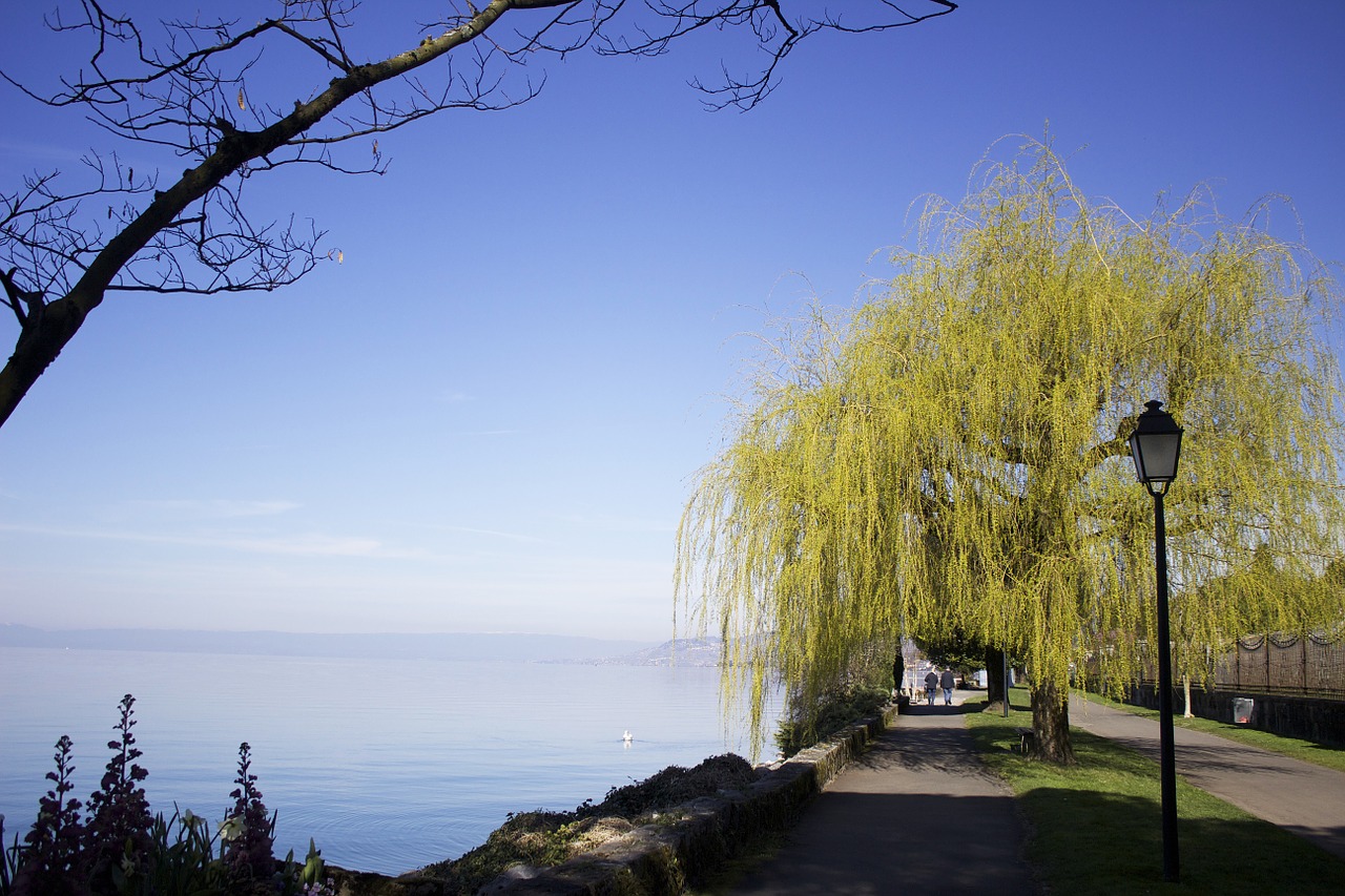 Montreux, Swiss, Šveicarija, Ežeras, Dangus, Vaikščioti, Mėlynas, Didingas, Ramus, Aišku