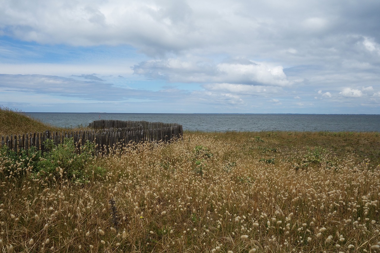 Nuotaika, Атлантический, Brittany, Kopos, Paplūdimio Žolė, Perspektyva, Kraštovaizdis, Horizontas, Kranto, Gamta