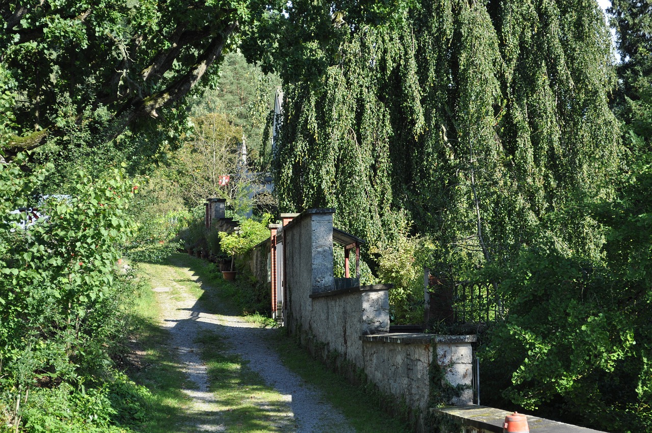 Nuotaika, Gamta, Šviesus, Saulės Šviesa, Nemokamos Nuotraukos,  Nemokama Licenzija