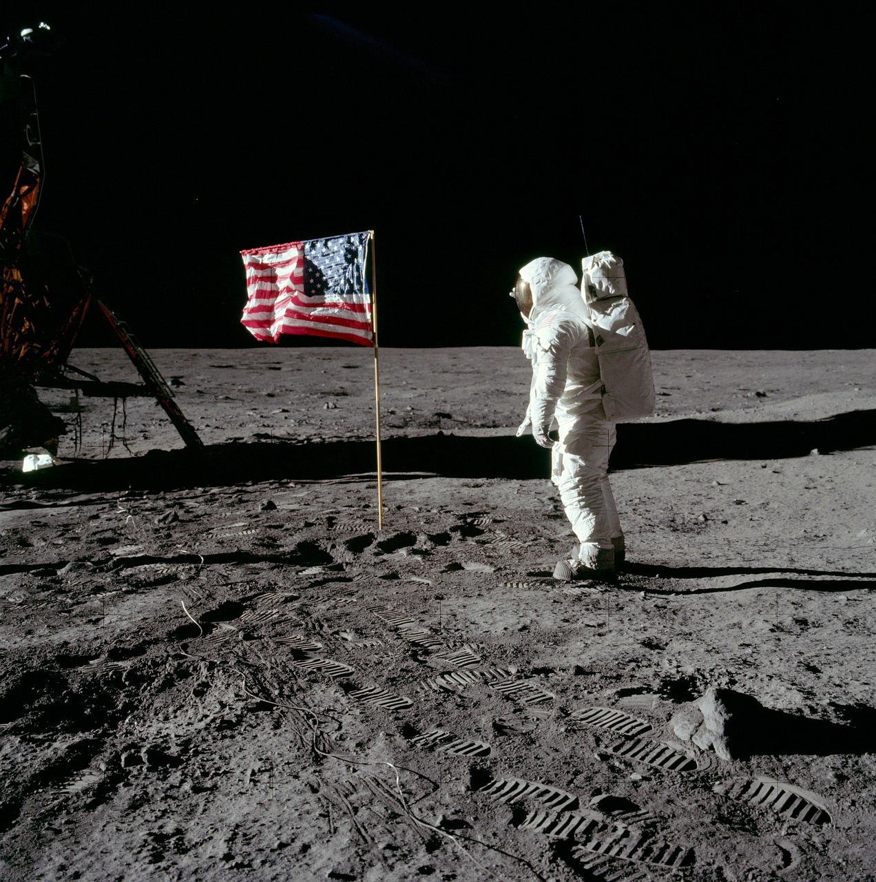Mėnulio Nusileidimas, Buzz Aldrin, Amerikietis, 1969, Vėliava, Kostiumo Kostiumas, Vaikščioti Mėnuo, Mounwalk, Astronautas, Nemokamos Nuotraukos