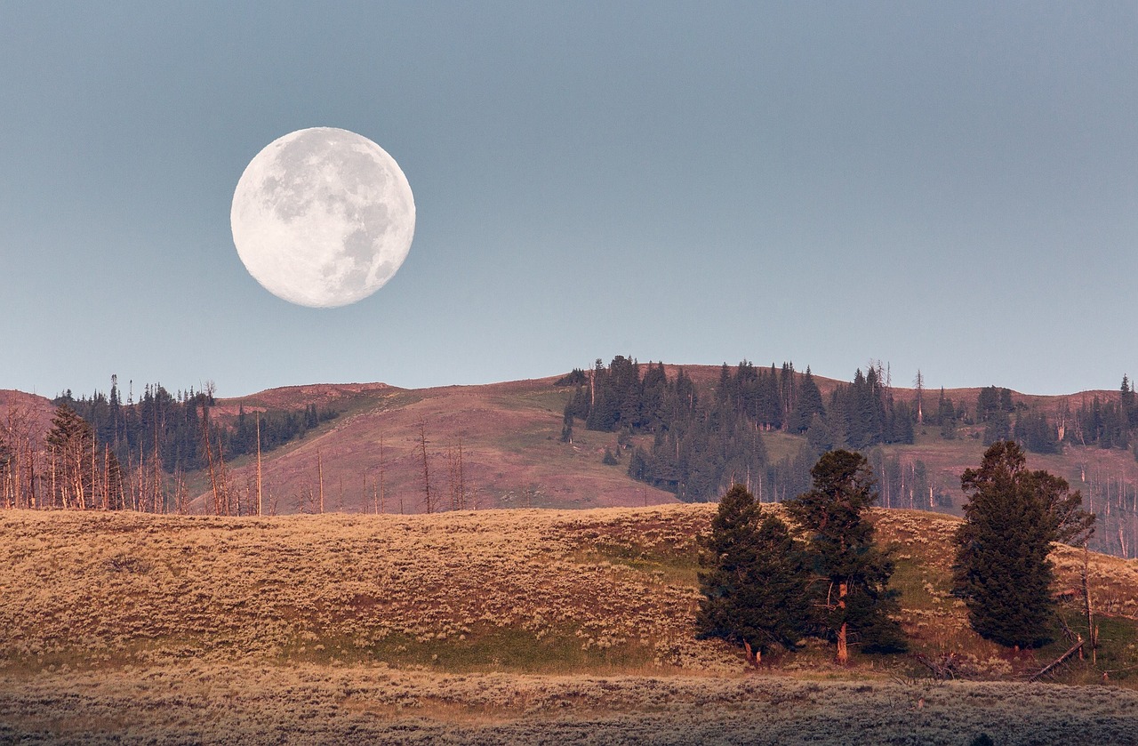 Moonset, Aušra, Kraštovaizdis, Dangus, Nacionalinis Parkas, Geltonas Akmuo, Vajomingas, Horizontas, Mėnulis, Vaizdingas