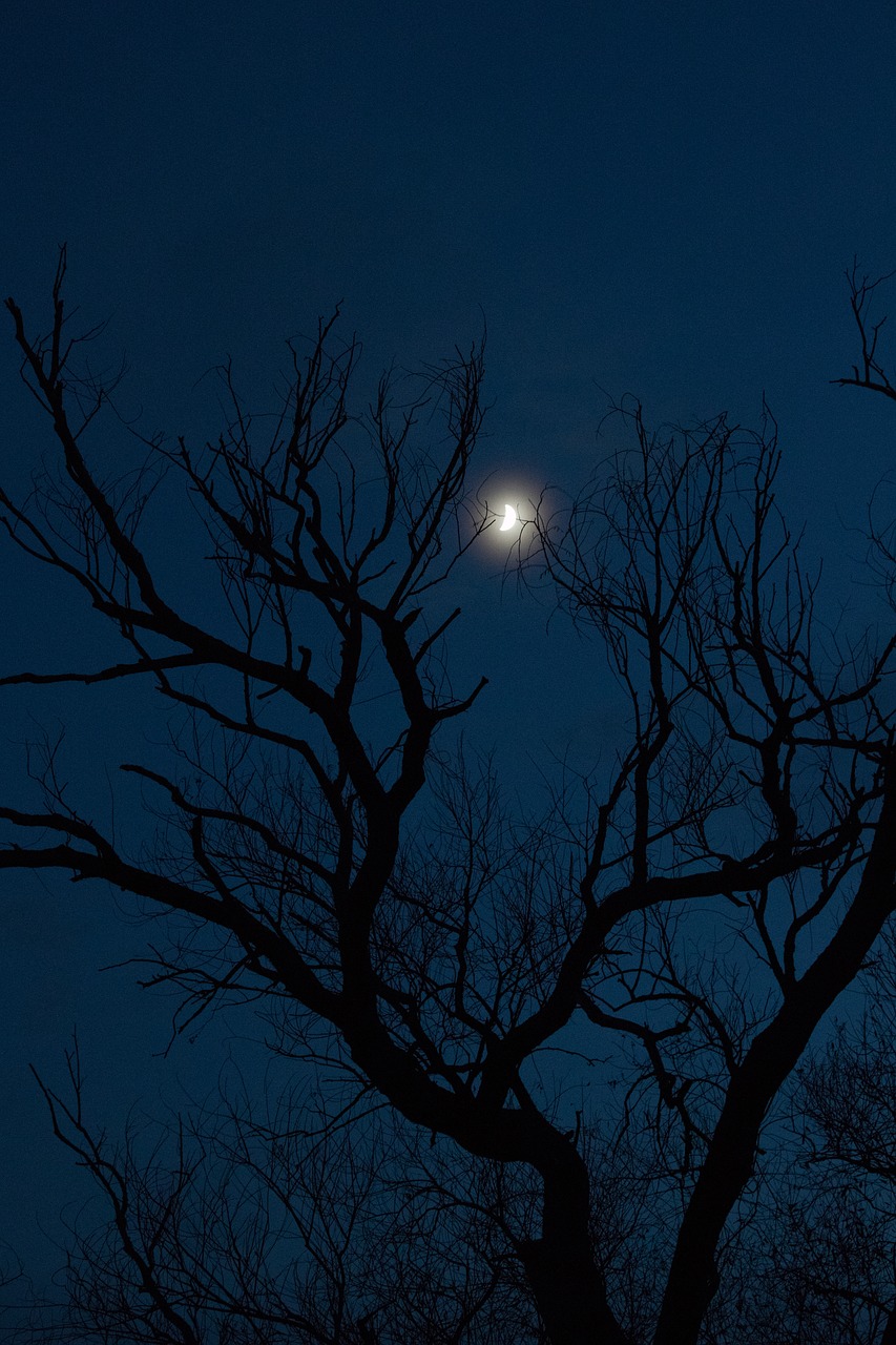 Moonshine, Vakare, Plikas, Vakarinė Šviesa, Mėnulio Šviesa, Naktinė Nuotrauka, Kékóra, Naktiniai Žiburiai, Dangus, Naktį