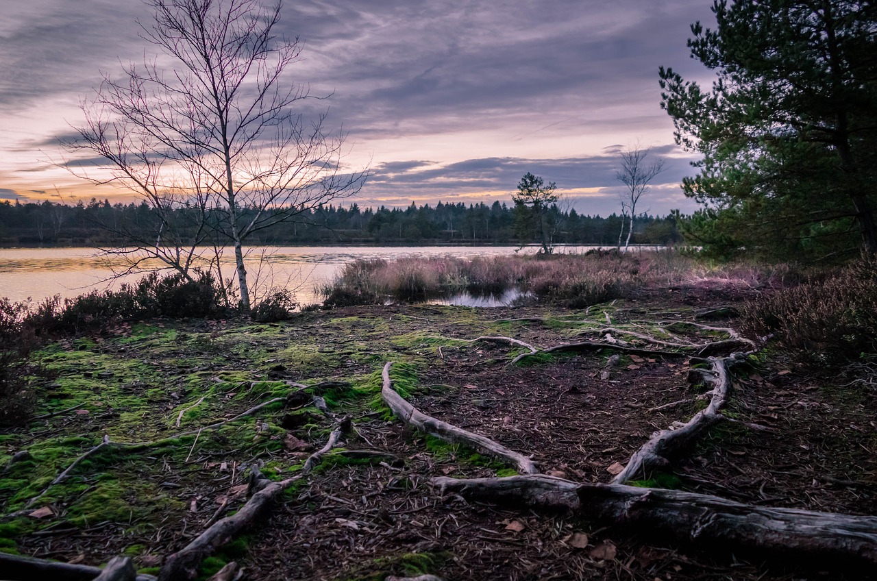 Kiauras, Moorland, Gražus Rameras Veltinis, Kraštovaizdis, Dusk, Nemokamos Nuotraukos,  Nemokama Licenzija