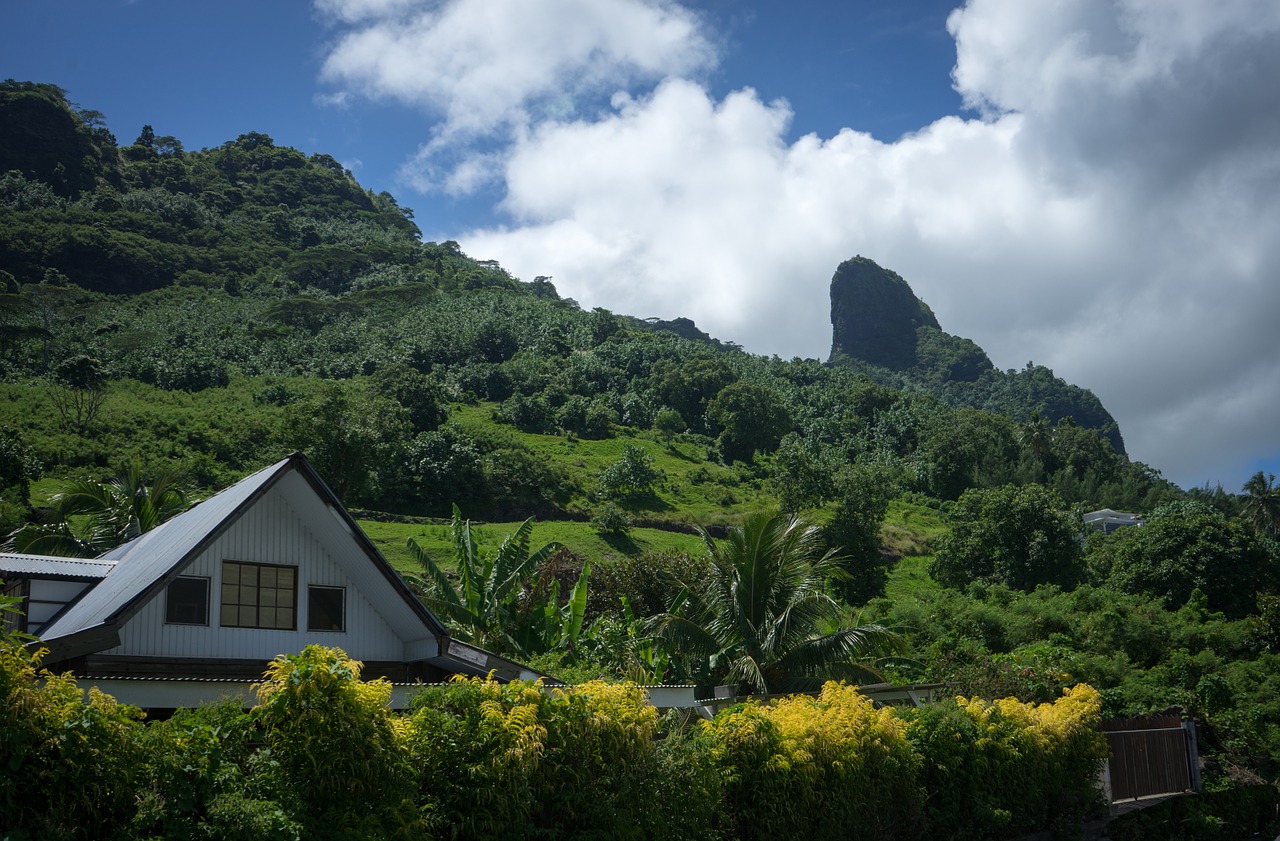 Moorea,  Prancūzų Polinezija,  Pietų Ramiojo Vandenyno Regionas,  Atogrąžų,  Sala,  Gamta,  Kelionė,  Tahiti,  Atostogos,  Rojus