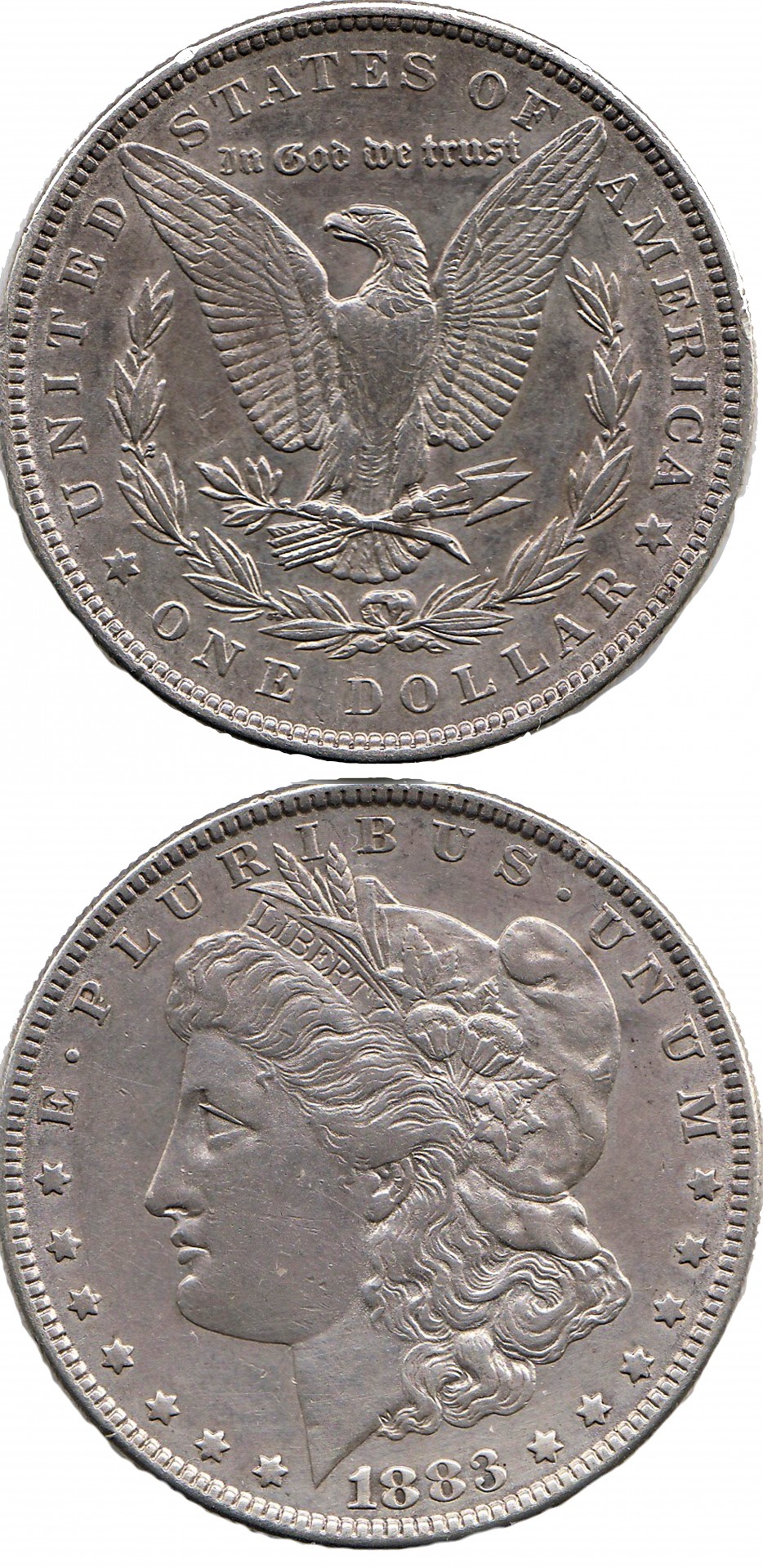 1883,  Amerikietis,  Amerikietis,  Bankininkystė,  Moneta,  Rinkti,  Rinkimas,  Valiuta,  Doleris,  Erelis