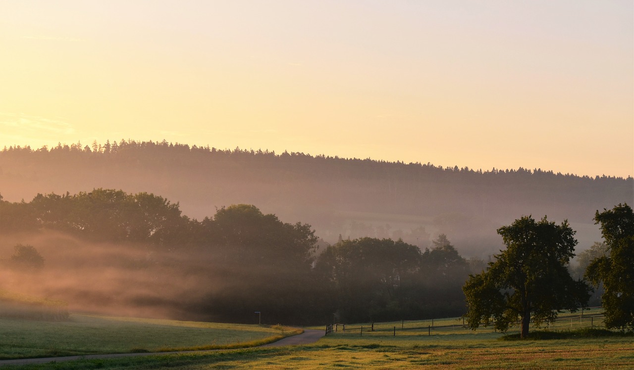 Morgenstimmung, Saulėtekis, Dangus, Kraštovaizdis, Atgal Šviesa, Rytas, Rūkas, Nuotaika, Gamta, Ruduo