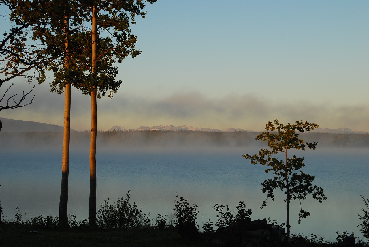 Morgenstimmung, Ežeras, Rūkas, Kanada, Britų Kolumbija, Kalnai, Stovyklavietė, Nemokamos Nuotraukos,  Nemokama Licenzija