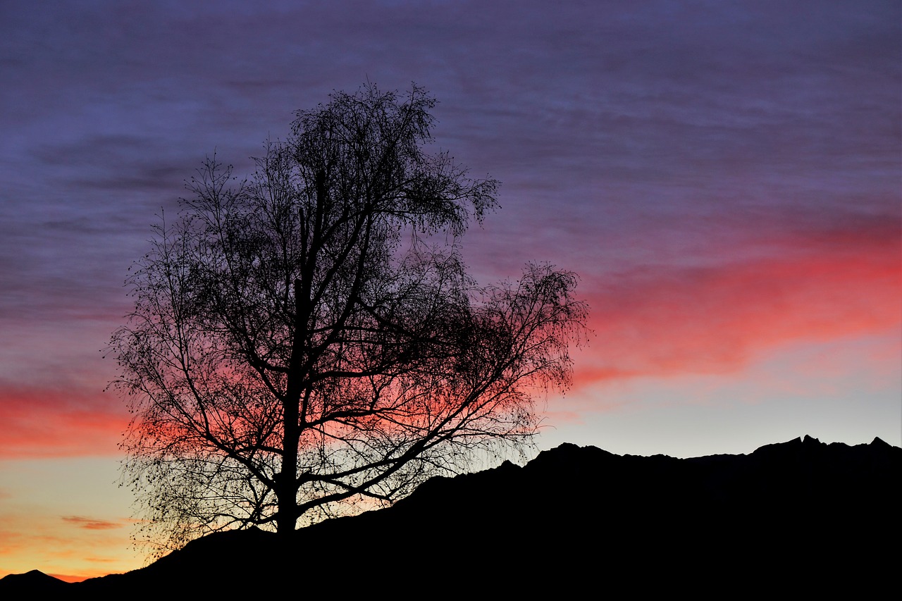 Morgenstimmung,  Sunrise,  Pobūdį,  Nuotaika,  Kraštovaizdis,  Saulė,  Dangus,  Poilsio,  Apšvietimas,  Dangus