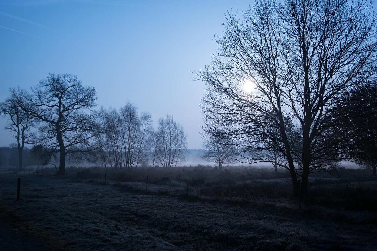 Morgenstimmung, Heide, Wahner Pagan, Saulėtekis, Miglotas, Rūkas, Rūkas, Nuotaika, Atgal Šviesa, Saulė