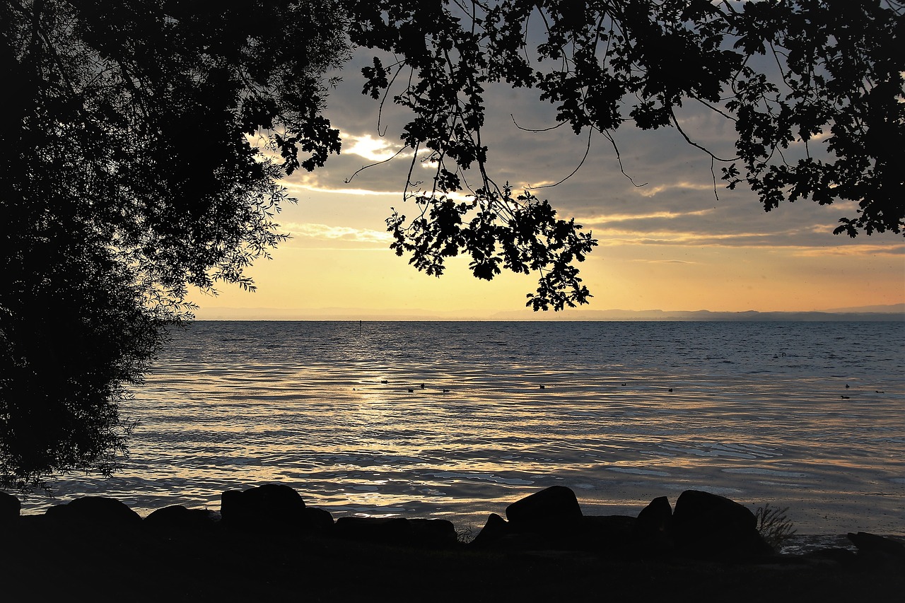 Rytą,  Ežeras,  Papludimys,  Dawn,  Orai Nuotaika,  Ramybė,  Bodensee,  Hdr,  Vandens,  Vasara