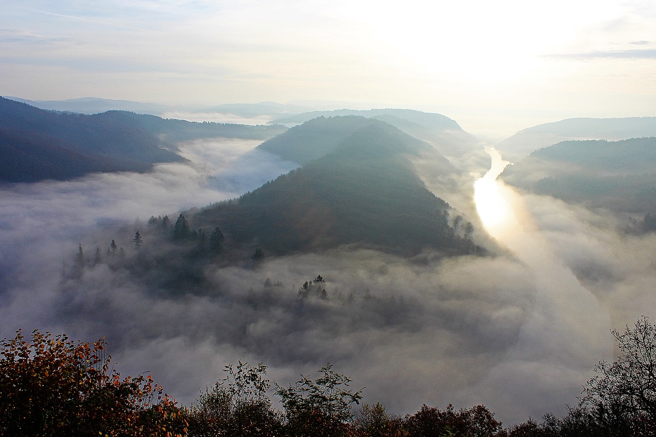 Ryto Migla, Upės Kraštovaizdis, Salos Kilpa, Miškas, Požiūris, Gamta, Džemperis, Tylus, Kraštovaizdis, Perspektyva