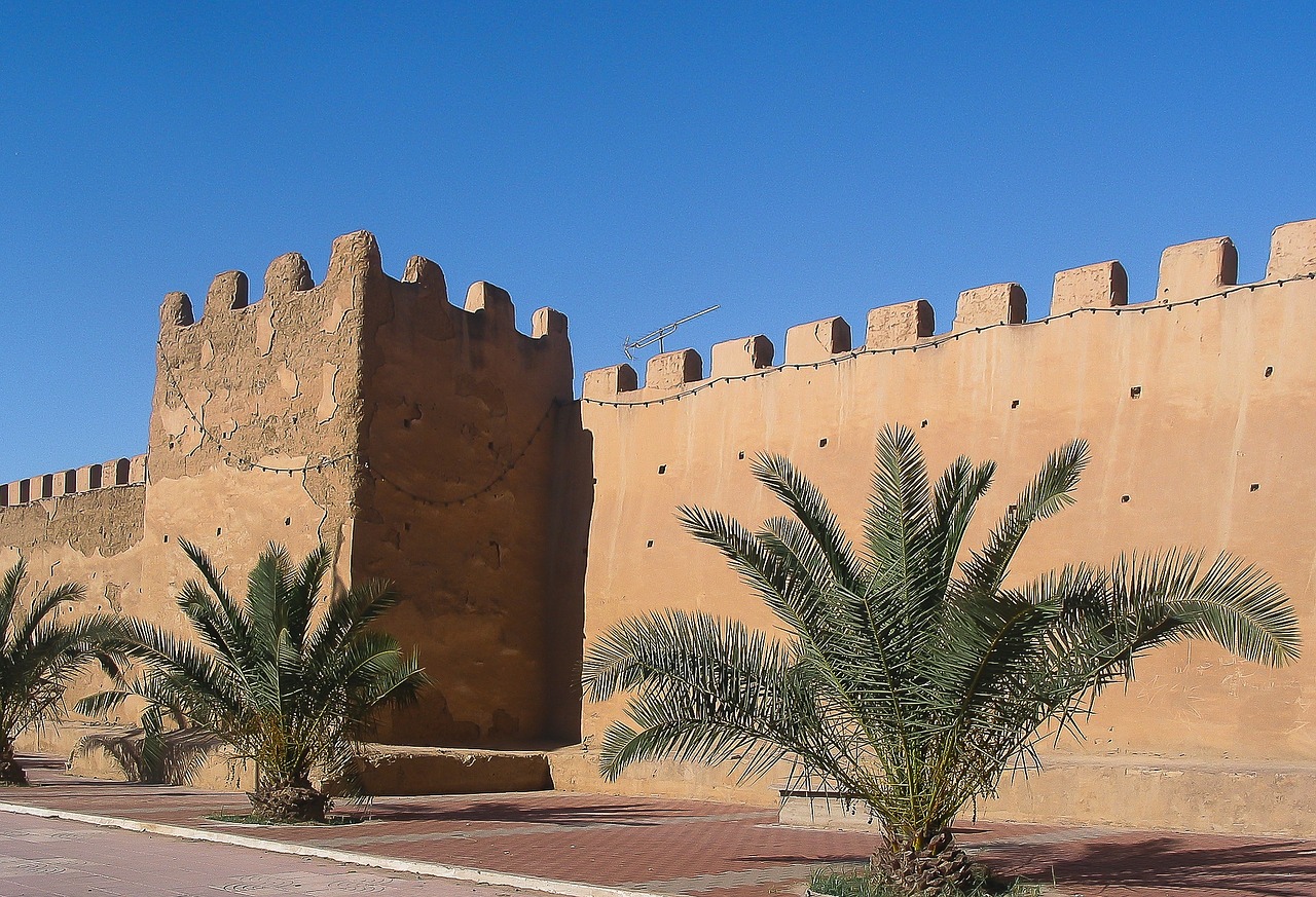 Marokas, Taroudant, Važiuoklės, Siena, Palmės, Nemokamos Nuotraukos,  Nemokama Licenzija
