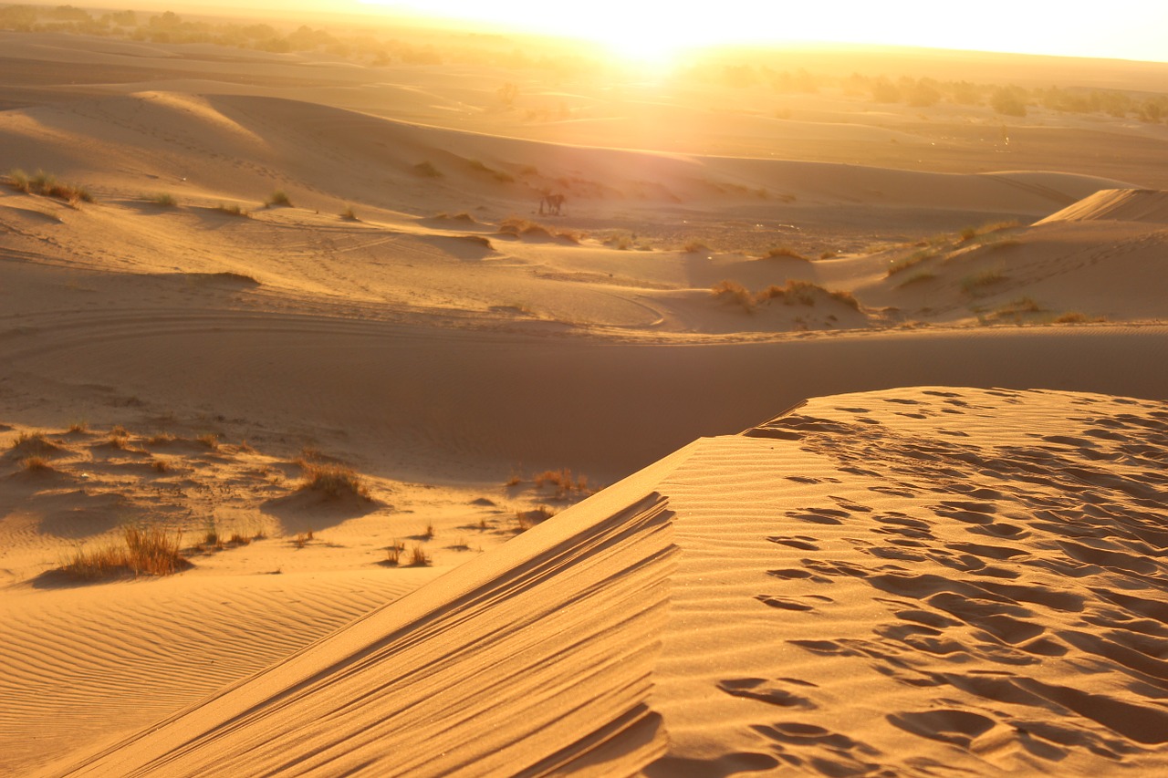 Marokas, Dykuma, Berberis, Discovermarocco, Nemokamos Nuotraukos,  Nemokama Licenzija